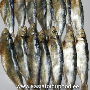 Dried Tuyo Tamban/Salinas 100g