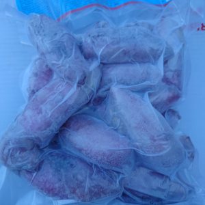Squid Whole 9/15 IQF 20% Asian Pearl 1KG